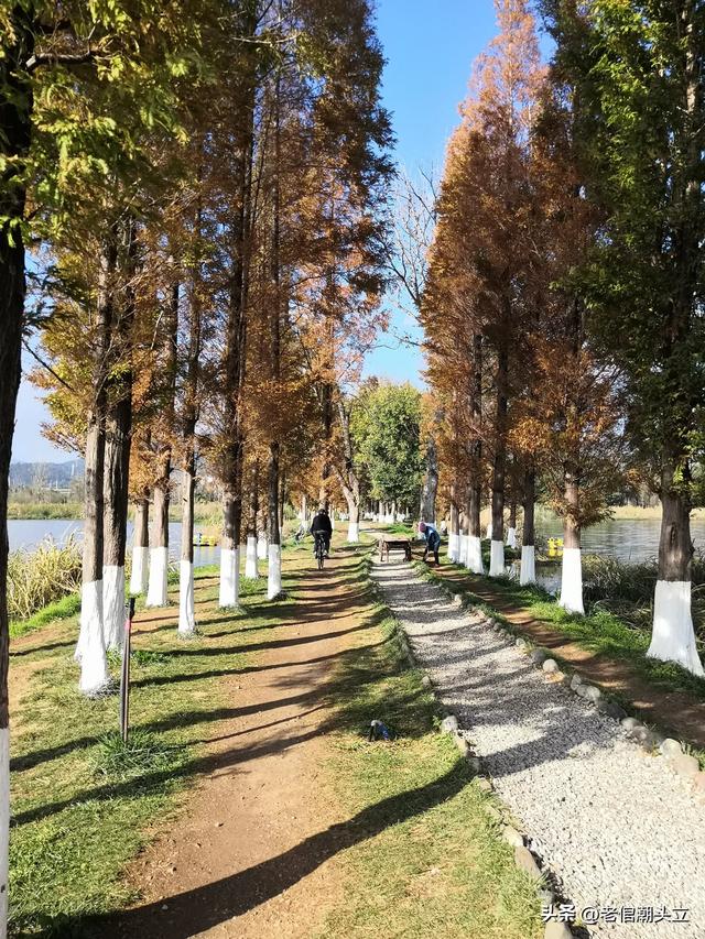 冬天的早上 晒着太阳从大观楼徒步到西山茶马花街 是什么样的感受？