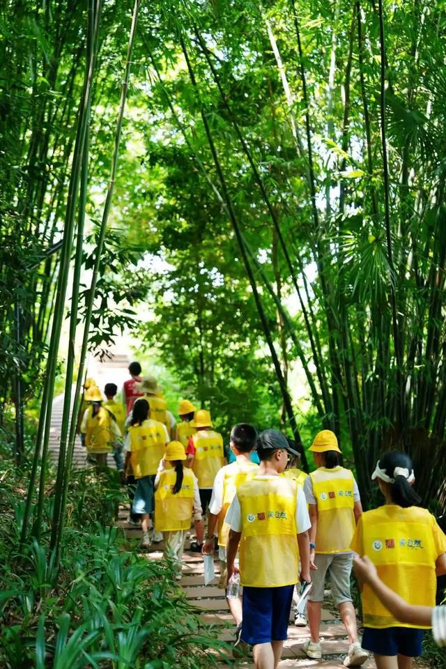 蜜蜂谷里探秘忙！“阅·自然”公益课堂开启自然研学之旅