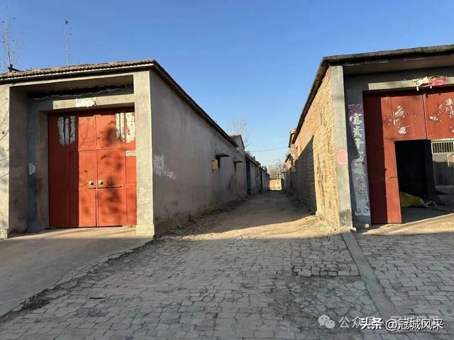 冠县乡韵·贾镇荆楼村