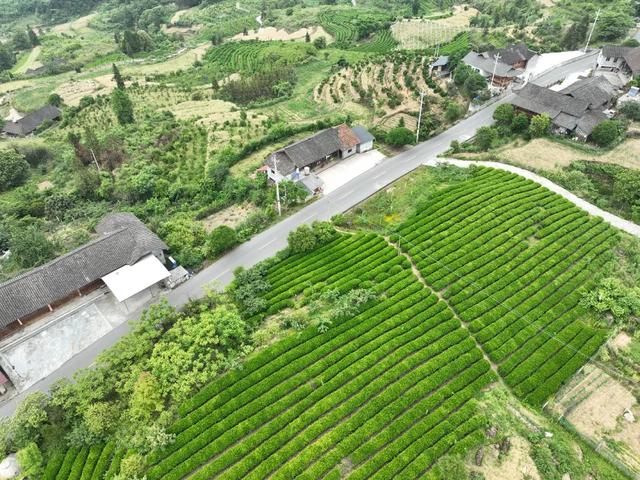 湖南这12条路美出了名，益阳这条你走过吗？