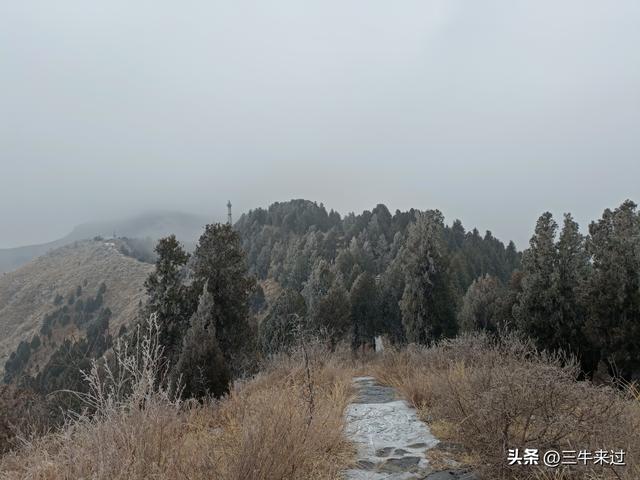 无为在歧路，何处寻雾凇