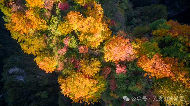 宝子你听我说，近期天气好、红叶美，光雾山可以冲了!