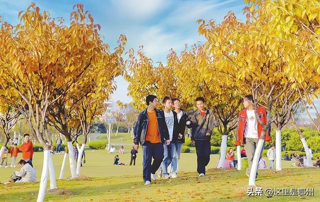 咔嚓🤳！抓住鄂州秋天的“小尾巴”~