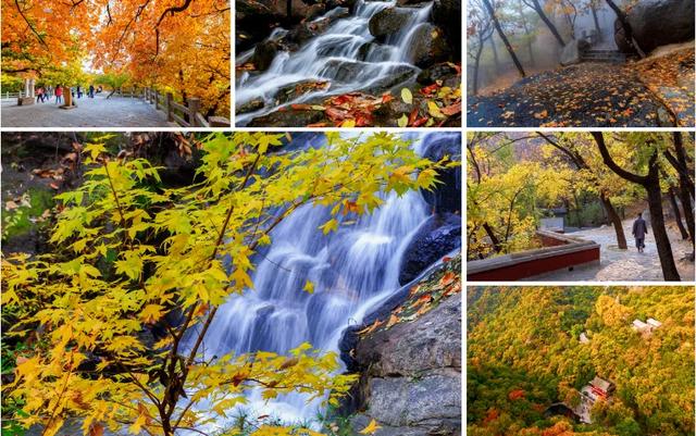 盘山 “红” 了！