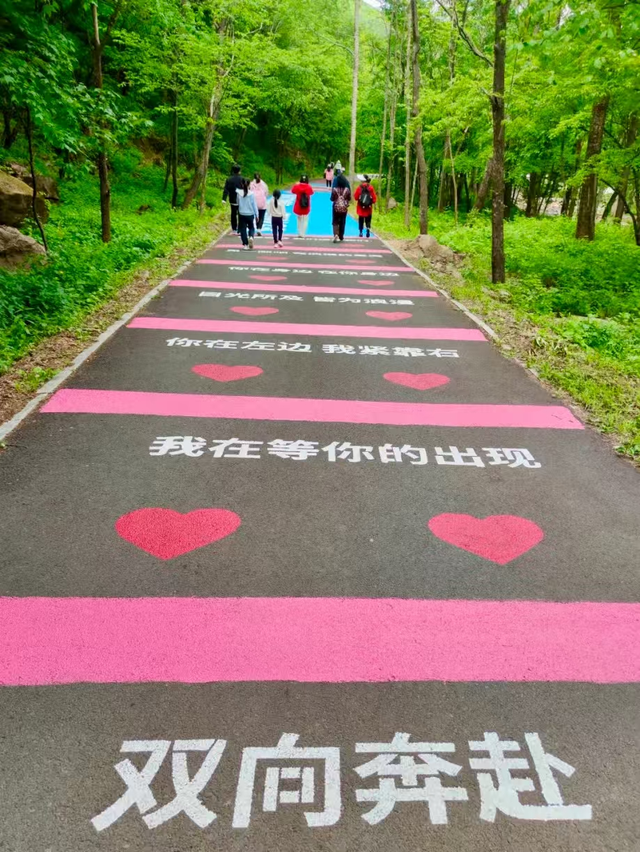 步步生花 解锁黑龙江的浪漫