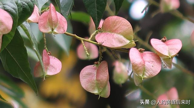 旅行的搭子没找好，真不如一个人流浪