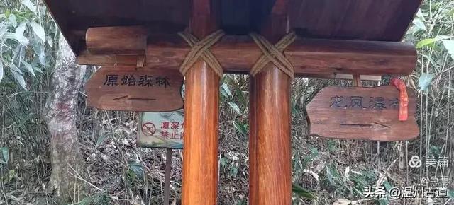 探秘楠溪江源头!这条海拔千米以上的草甸山脊只有极少数驴友知道