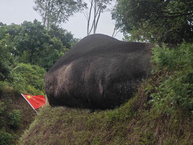 西丽湖国际科教城绿道高清随拍