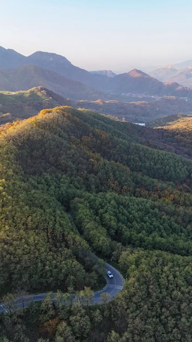 璀璨斑斓！日照这条路，现在美到不像话！