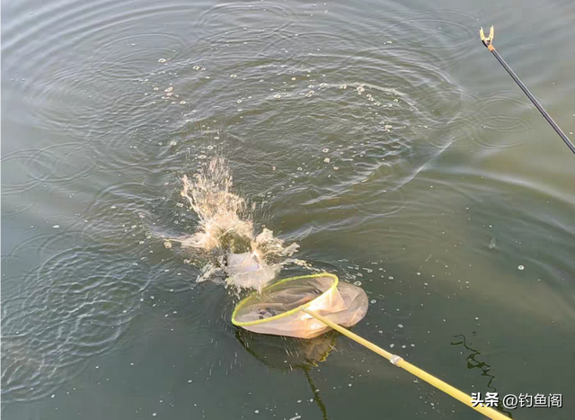 户外钓鱼的3个“损招”，有点不讲武德，但效果出奇的好