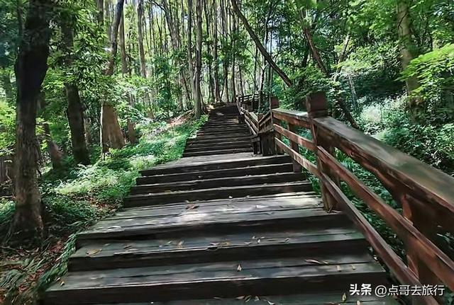 成都难得的清凉徒步胜地，在都江堰隔壁，不要门票，超级凉爽。