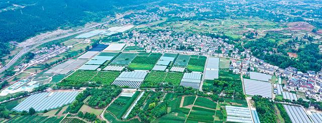 四川省昭化区历史沿革及行政区划