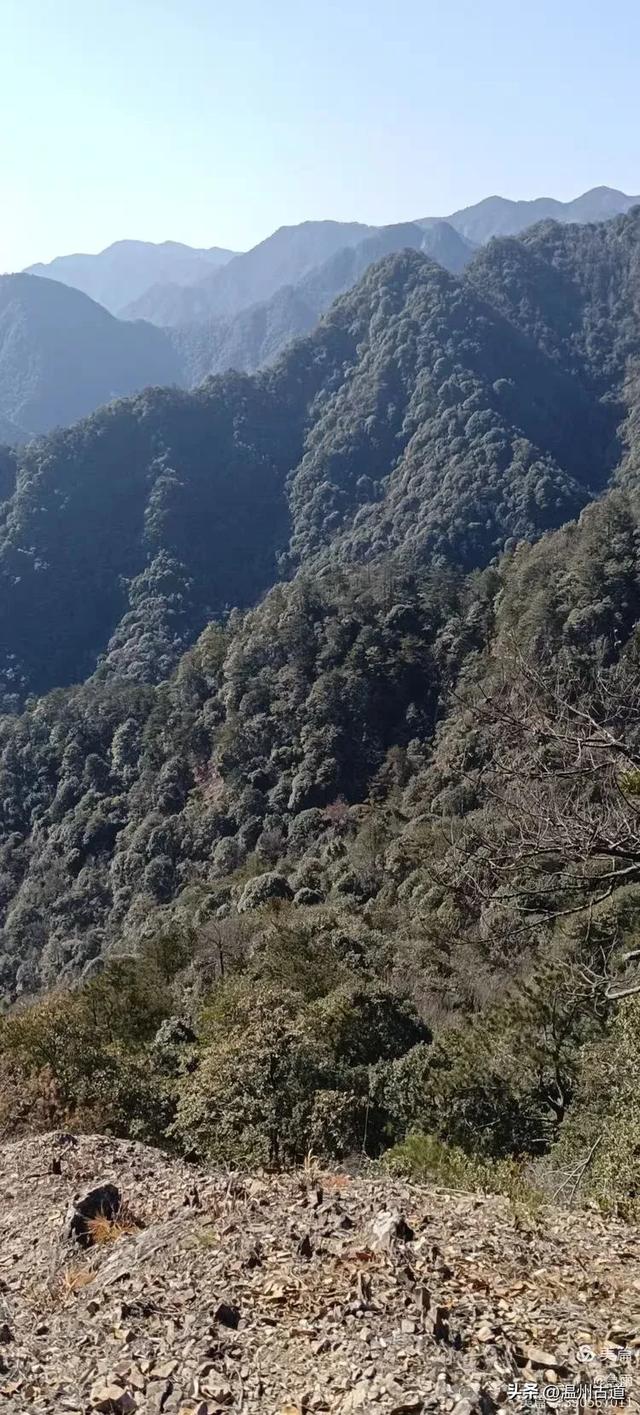 五次试走，终于揭开楠溪江源头永仙边界这条防火道的神秘面纱！