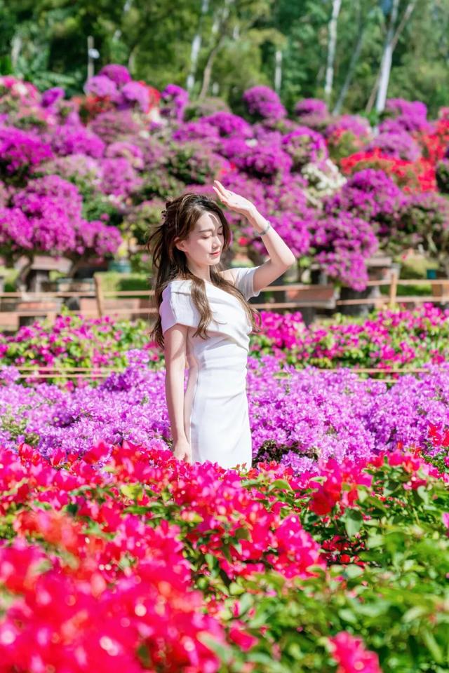 挤爆了！今天莲花山都是人人人，网友：感觉全深圳都来了！