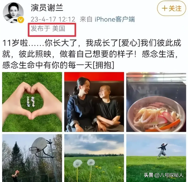 吃里扒外！13年前定居美国，回国捞金遭“驱逐”的她，52岁成笑话