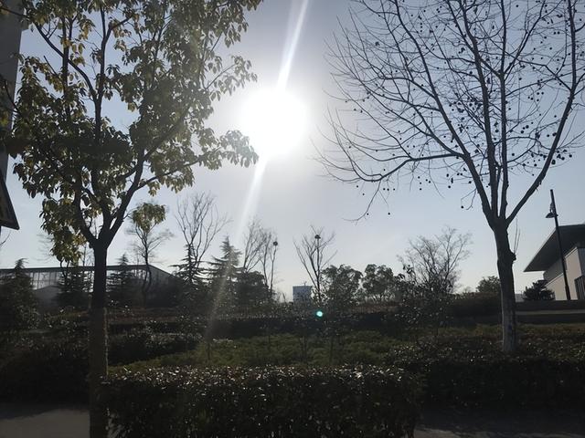 今冬三九天太反常！老话“三九连日晴	”，啥预兆？答案来了