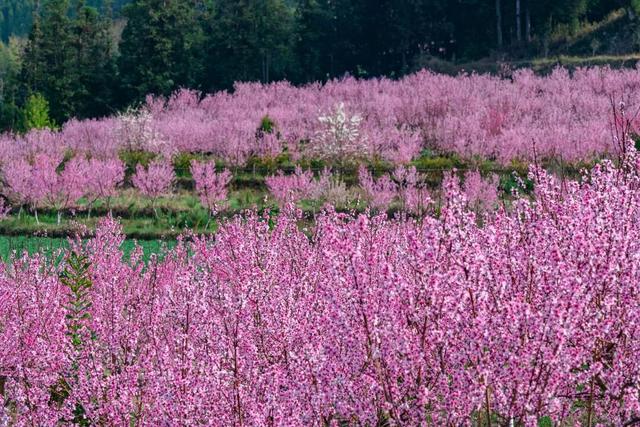 腾冲2026年度文旅活动主题发布，月月有惊喜！