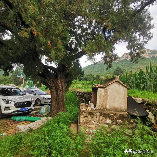 &056.炎炎烈日哪里去--张夏洞府天
