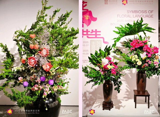 走！今天出发莲花山！拍“爆”20万㎡花海