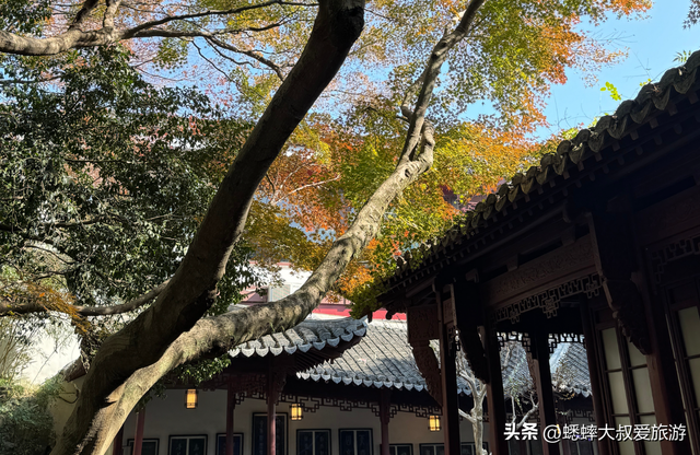 80%人错过的杭州秋冬诗意景点，免费可观西湖，还有绝美打卡处！