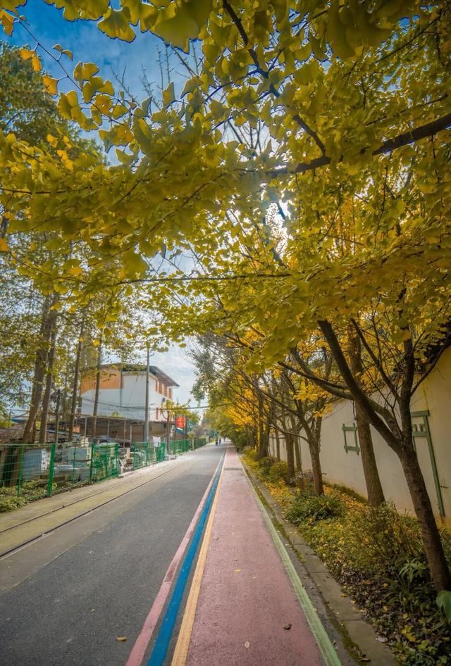 彭州这条“世界级”徒步线，走起！