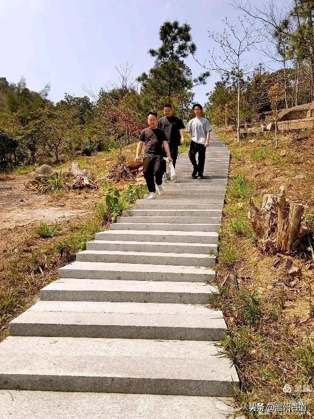 大罗山这条改造过的登山步道你可去过?
