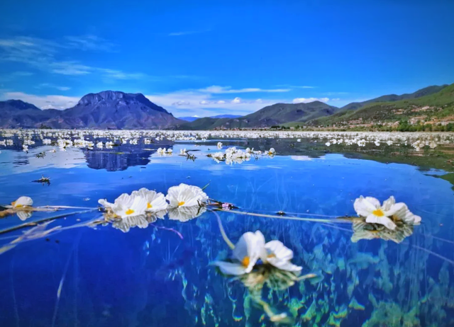 云南文旅又白干！女子住酒店被员工猥亵，网友曝猛料，不是第一次
