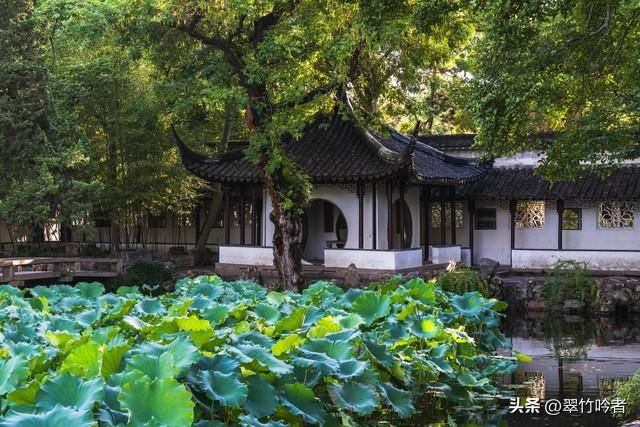 江苏12大5A景区终极考验！去过3个算入门，全去过的是真“大神”