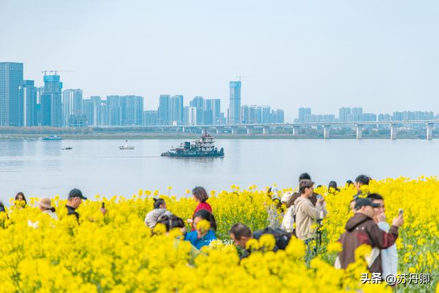 从工业城市到旅游胜地，武汉看似被强制变身，实际是顺天应人