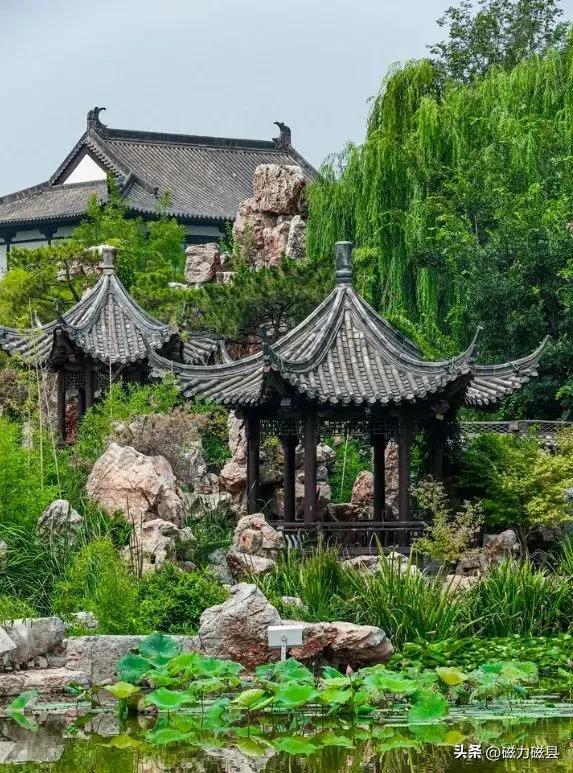 魅力磁县｜江南风韵落北国！研学到磁州水墨园～