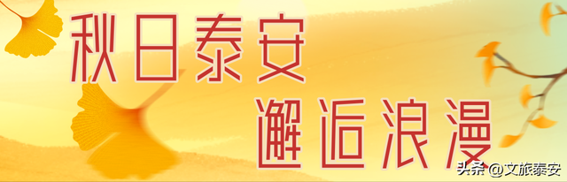 重阳至，来看泰安“登高”全攻略！