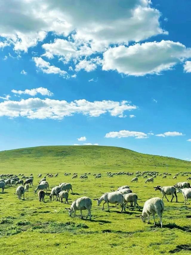 四川旅游必去的十大宝藏地,个个都是神仙景点!你去过几个?