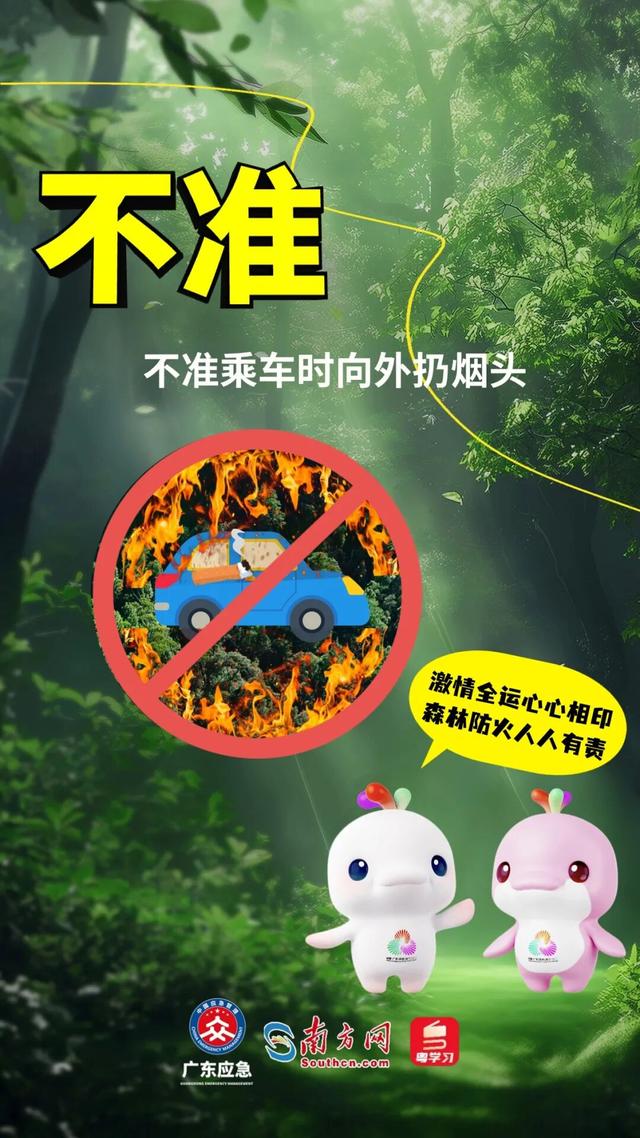 森林特别防护期，严禁这些行为→