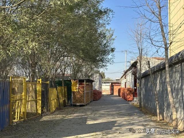 冠县乡韵·贾镇洼里村