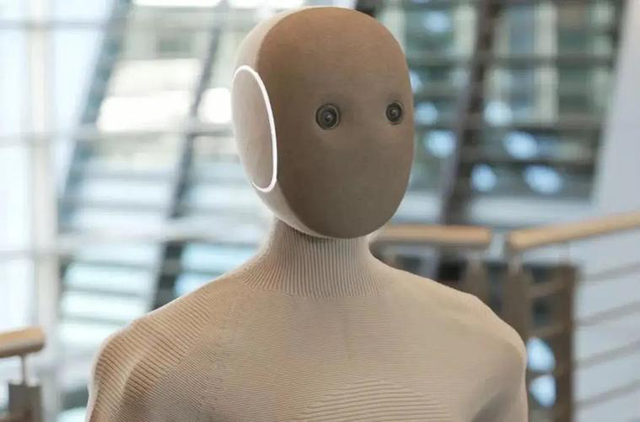 人形机器人翻车？效率堪比蜗牛，还泄露隐私，14万买个“祖宗”？