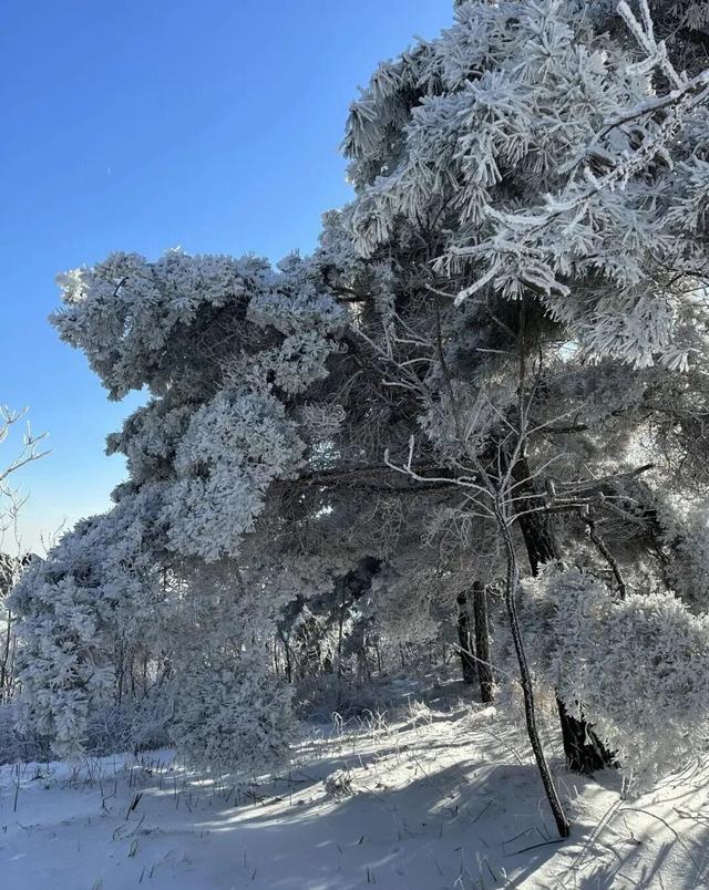 接下来的淄博，「冬日隐藏副本」藏不住了！