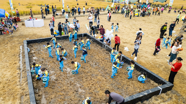 倒计时1天！来稻田CBD，觅都市桃花源
