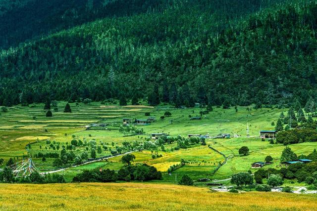 到山里去，8个森林环抱的好地方，过几天山居生活，回归纯粹