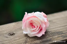 真正放下一个人，没必要拉黑、删除，而是做到4个字图片