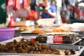 抓不完！根本抓不完！很多人连夜出动，就为这一口……图片