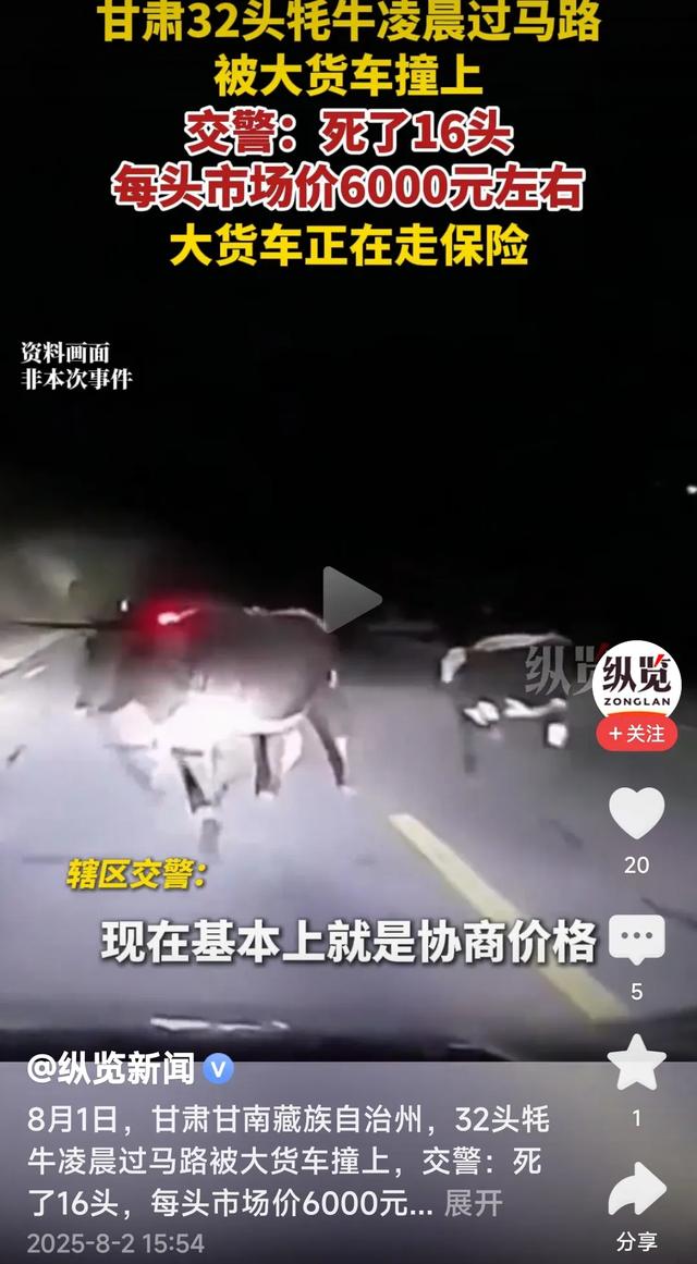 甘肃牦牛凌晨过马路被大货车撞上！死了16头，每头价值6千元左右
