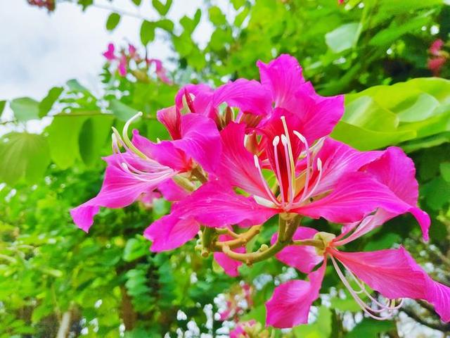 情感爆文：《懂得珍惜，才配拥有	，只有在乎，才能永久》