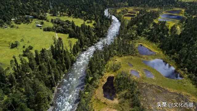 《西藏组画·牧羊人》卖出1.61亿！而你的西藏旅行是无价的！