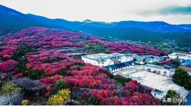 李传尧：齐鲁古道 诗画文祖