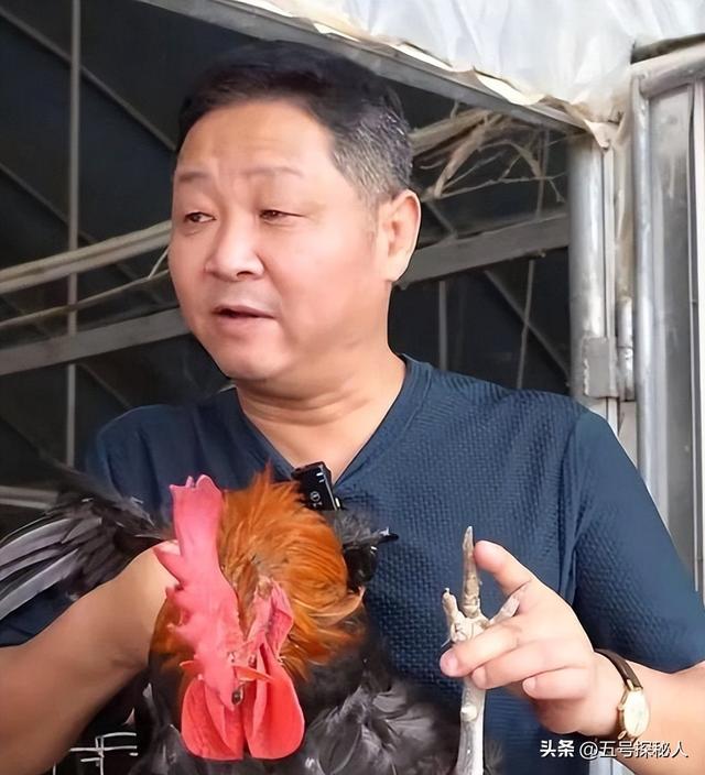 56岁赵亮现状：带小16岁模特老婆深山养鸡，满脸皱纹未衰先老
