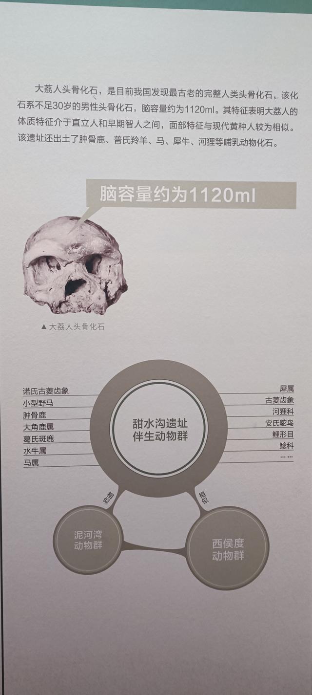 那么近，那么美，周末到商洛了——大美商洛秦岭博物馆