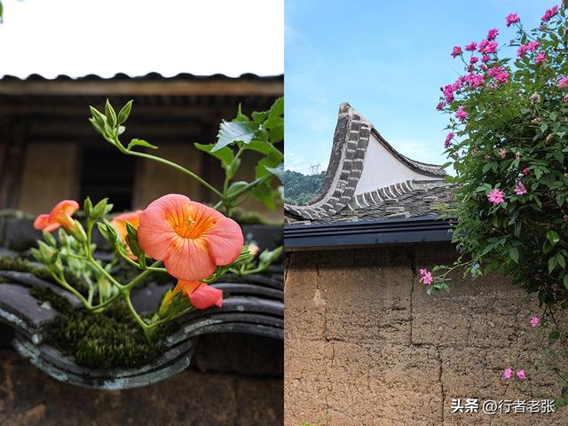 走遍福建古村落，宁德八都福口村，百年古民居都是豪华大宅