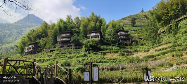 山路弯弯 作者：陈阿玲