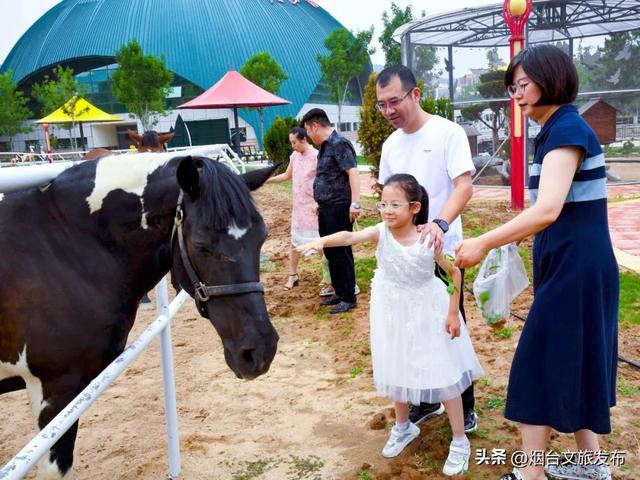 【乐游烟台】烟台新开的！6000亩超大游乐场，快来玩→
