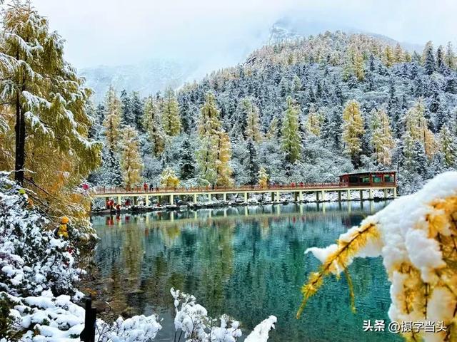 甲依拉措 ：一场白雪与彩林的盛宴